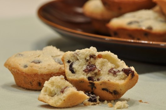 A Cake Studded with Currants