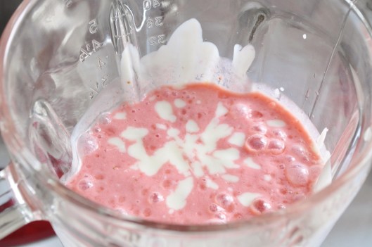 Strawberry-Honey Ice Mixture