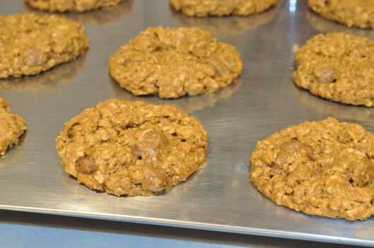 A Tray of Chocolate-Covered Raisin Oatmeal Cookies