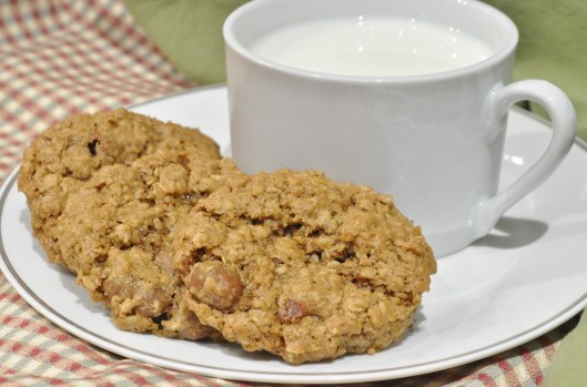 Chocolate-Covered Raisin Oatmeal Cookies