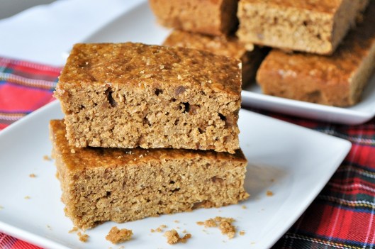 parkin-for-bonfire-night